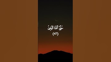 ‎السورة: المدثر القارئ: شريف مصطفى الاية: 42-49