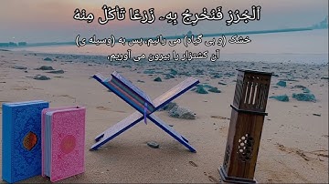 (سورةالسجدة ۲۷)#quran  #قرآن #بحر #تلاوة #تلاوات #تلاوة_خاشعة #صوت #صوت_جميل #مشاري_العفاسي #الله