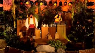 Jake And The Never Land Pirates Pirate Band Pirate Pogo Disney Junior
