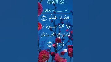 اجمل تلاوة صباحية ♥️🥀صباح الخير والبركة 💚🥀Good moring 🌷