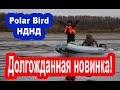 Надувная лодка ПВХ НДНД под мотор, обзор новинки Polar Bird.  Рыбалка на спиннинг с лодки.