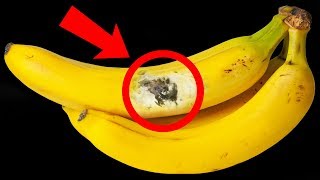 【閲覧注意】バナナにこの斑点を見つけたらすぐに捨てろ！
