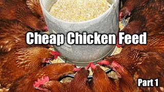 Cheap Chicken Feed Formulation Part 1