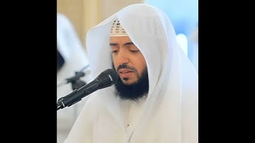 سورة الناس | وديع اليمني