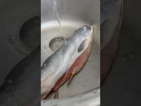 Как почистить рыбу от чешуи за пару секунд. О таком вы не слышали!