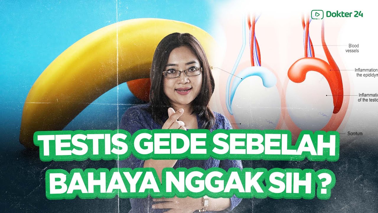 Dokter 24 - Testis-mu Besar Sebelah? Apa Bahayanya?????