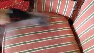 6 Upholstery, Steam Cleaning