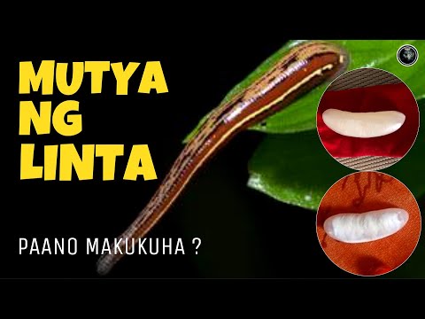 MUTYA NG LINTA | AGIMAT AT ANTING ANTING | Bhes Tv