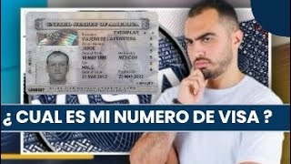 Cul Es Mi Nmero De Visa   asesorvisados consejosmigratorios