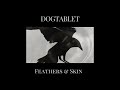 Dogtablet - Feathers &amp; Skin - full album (2019)