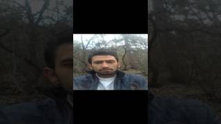 Söylesene Katibim (Şiir)