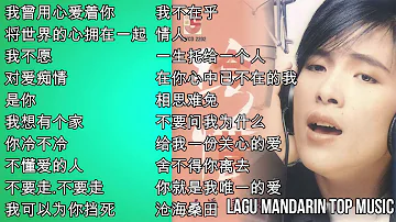 20 Lagu Mandarin Pan Mei chen 潘美辰 的热门歌曲