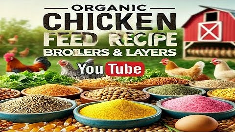 How to Make Homemade Organic Chicken Feed: The Ultimate Guide for Broilers & Layers #food #chicken