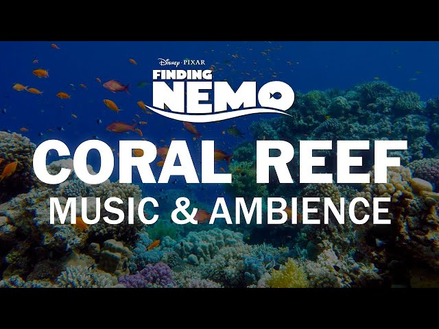 Finding Nemo | Disney Music & Ambience - Coral Reef Underwater Sounds for Sleep, Study, Relaxation class=