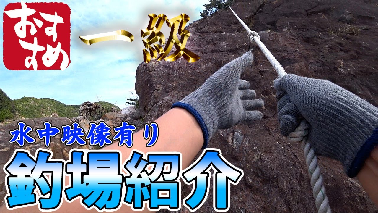 【釣り場紹介】和歌山県 白浜町【小石の鼻】石鯛、グレ、アオリイカ、クエ、ヒラマサ等が釣れるポイント　水中映像有り