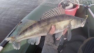 ПОЙМАЛ КРУПНОГО СУДАКА! ОКУНЬ И СУДАК НА ДЖИГ И ОТВОДНОЙ первая рыбалка осени 2019