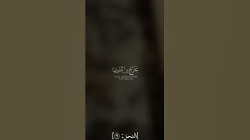 القارئ خالد الجليل سورة النحل ( وأوحى ربك إلى النحل أن اتخذي من الجبال بيوتا ومن الشجر ومما يعرشون )