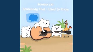 Somebody That I Used to Know - Bongo Cat