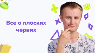 Все о плоских червях