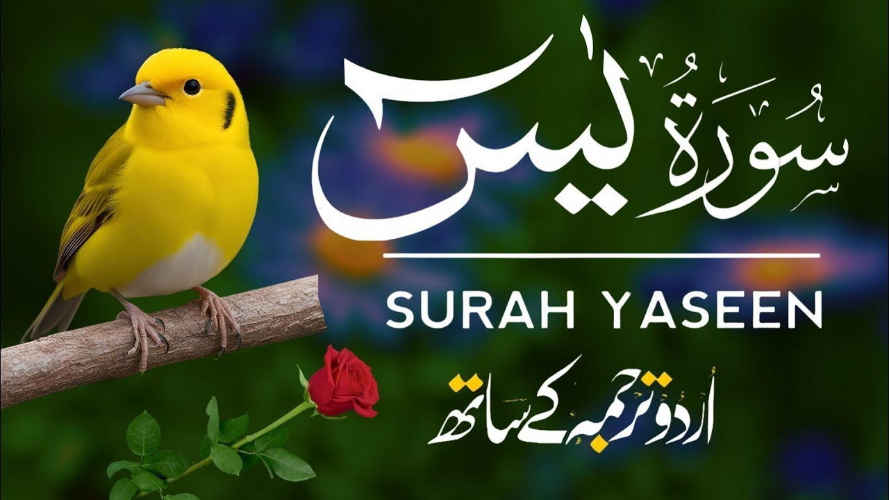 Surah Yaseen | Surah Yaseen With Urdu Translation | Al Furqan Studio | Ep31