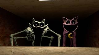 I'm trying to run away from CATNAP and NIGHTMARE CATNAP in gm_construct map (Garry's Mod)