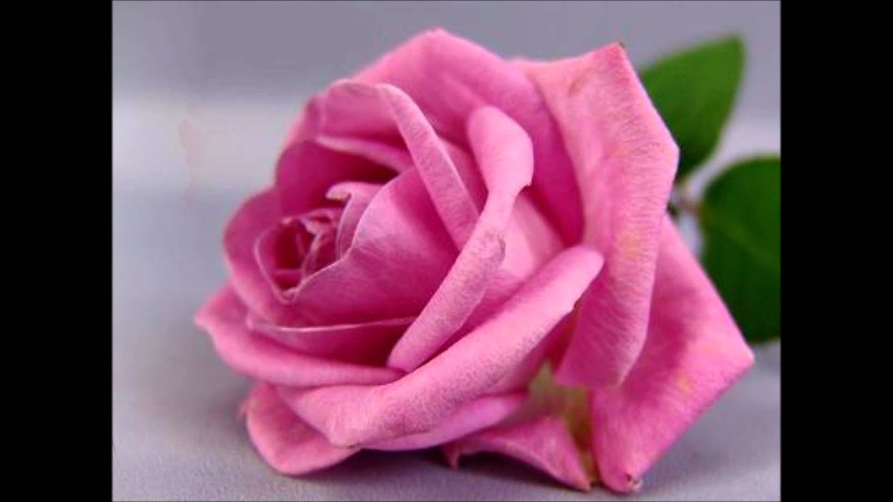 Quince Primaveras Grupo San Javier YouTube Quince Primaveras Grupo San Javier YouTube