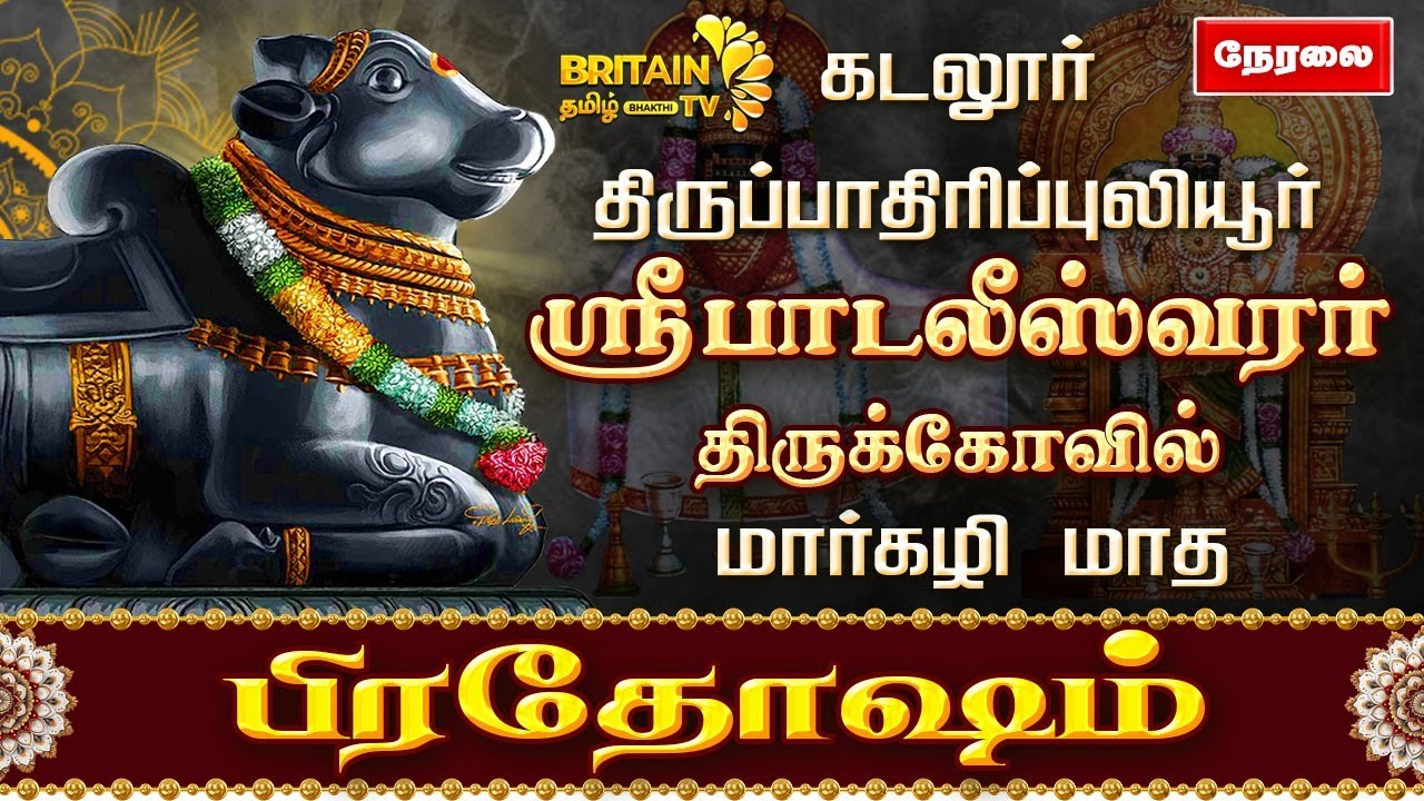 🔴LIVE - கடலூர் பாடலீஸ்வரர் திருக்கோவில்  பிரதோஷ வழிபாடு | Pradhosam Padaleeswarar Temple |