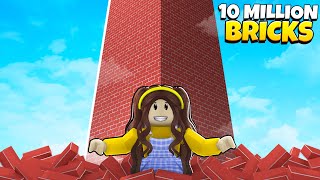 I Built The World's Largest Tower in Roblox