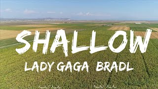 Play List ||  Lady Gaga, Bradley Cooper - Shallow (Lyrics)  || Brown Music