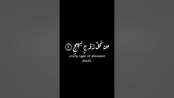 #كرومات شاشة سوداء | القارئ ماهر المعيقلي| ايات قرانية | سورة الحج | #krumat