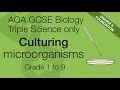 Culturing Microorganisms Quiz