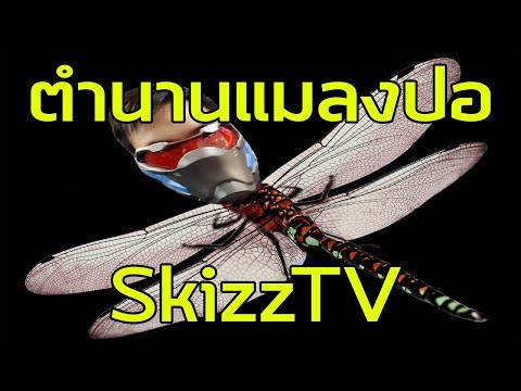 ตำนานแมลงปอ SkizzTV