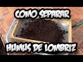 Como Separar El Humus De Lombriz || Abono Organico || La Huertina De Toni