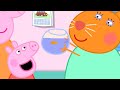 Peppa Pig a al veterinario! 🐠 | Pepa la cerdita