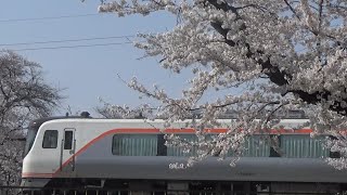 「桜の中をゆくHC85系」HC85系D1編成 JR東海 高山本線 那加駅〜蘇原駅間にて