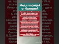 РЎРѕРіР Р СЃРЅС РЎРѕС СЂР РЅРёС Рµвќ пёЏ РЎРѕРіР Р СЃРЅС РЎРѕС СЂР РЅРёС Рµвќ пёЏ