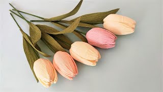 How to Make Tulip from Crepe Paper | Paper Flower