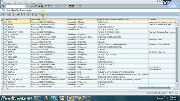 How to use SAP TRANSACTION SE30 for looking at performence