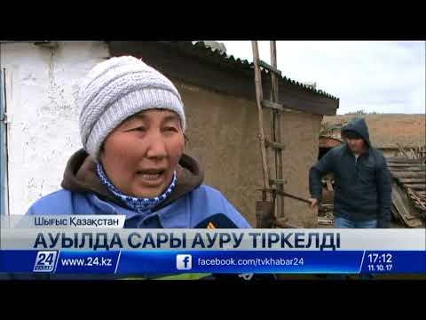 ШҚО-дағы Үржар ауданында балалардан сары ауру анықталды