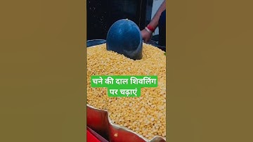 चने की दाल शिवलिंग पर चढ़ाएं #pradeepmishra  #upay  #herhershambhu  #mahadev #youtubeshorts