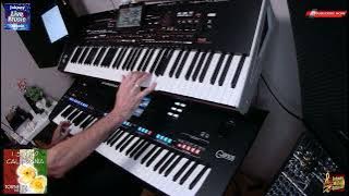 I Santo California – Tornero | Yamaha Genos & Korg Pa4X Pro Live Keyboard Cover by Johnny Music