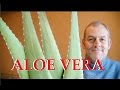 Aloe vera plante miraculeuse pour votre santé et votre peau .