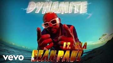 Sean Paul - Dynamite (Visualiser) ft. Sia
