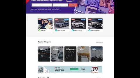 Classiads Theme Submit  Listing Page Fields Customization