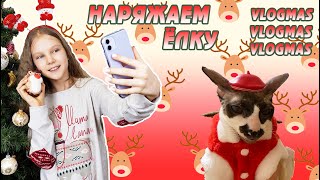 VLOGMAS: КОШКА СЪЕЛА ГИРЛЯНДУ! КАК МЫ НАРЯЖАЛИ ЁЛКУ. ЧТО-ТО ПОШЛО НЕ ТАК