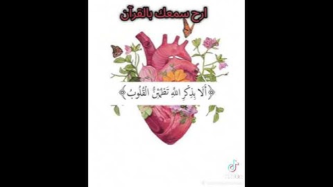 سورة الكرسي .اللهم إجعل القرأن الكريم ربيع قلوبنا .الأجر لي ولكم إنشاء الله.يارب نوصل لي1000مشتريك.