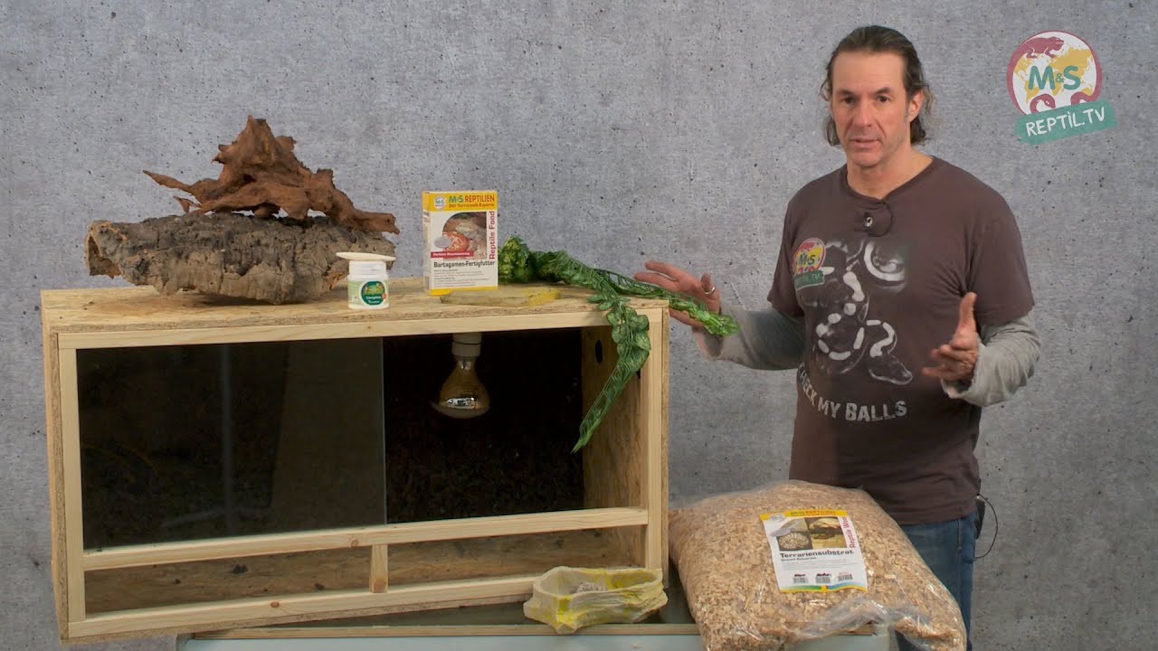 Reptil tv folge 75 diy reptilien holz terrarium youtube Holz rückwand