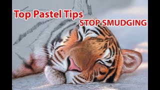 Pastel Light over Dark - Tiger - STOP SMUDGING - Jason Morgan Wildlife Art screenshot 5
