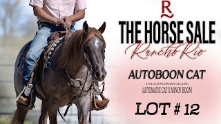 LOT 12 | AUTOBOON CAT | 5Yr Old | The Horse Sale at Rancho Rio