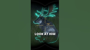 So I found a GREAT ONE in my sanctuary... 😅| theHunter: Call of the Wild